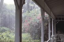 porch in rain, thomas edison winter estate, fl 