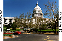 The Capital Building, Washington D.C.